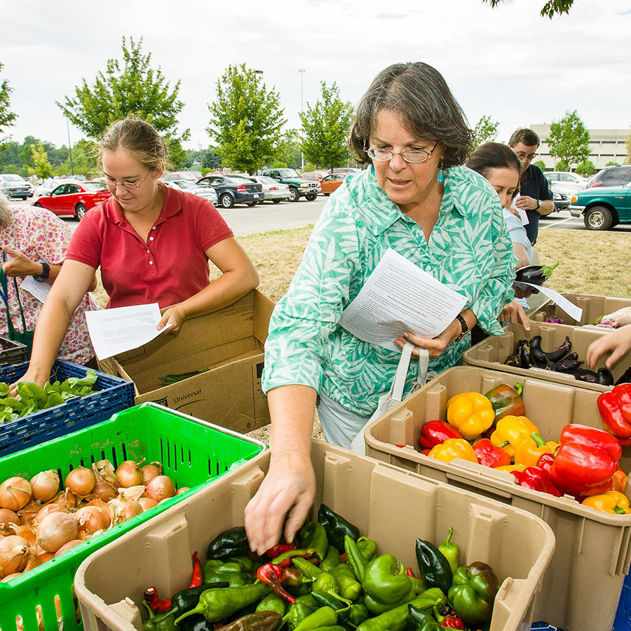 People picking out fruits and vegetables